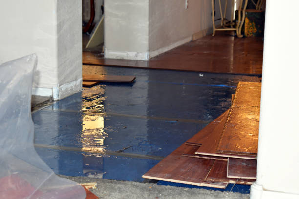 Professional Basement Flood Cleanup technician working in Peytona, WV